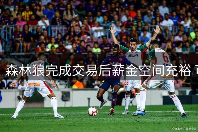 森林狼完成交易后薪金空间充裕 可再签两人保障阵容深度